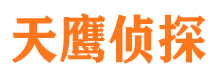 镇原侦探公司